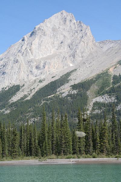 Maligne Lake 3.jpg
